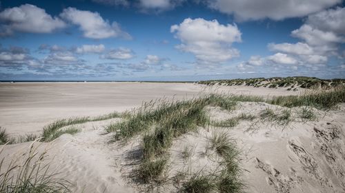 Free Explore the serene sandy dunes at Rømø, Denmark with clear skies and a tranquil coastline. Stock Photo