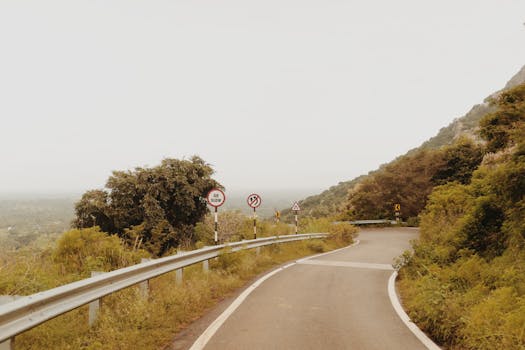 Winding mountain road with lush greenery and traffic signs under a bright sky.
