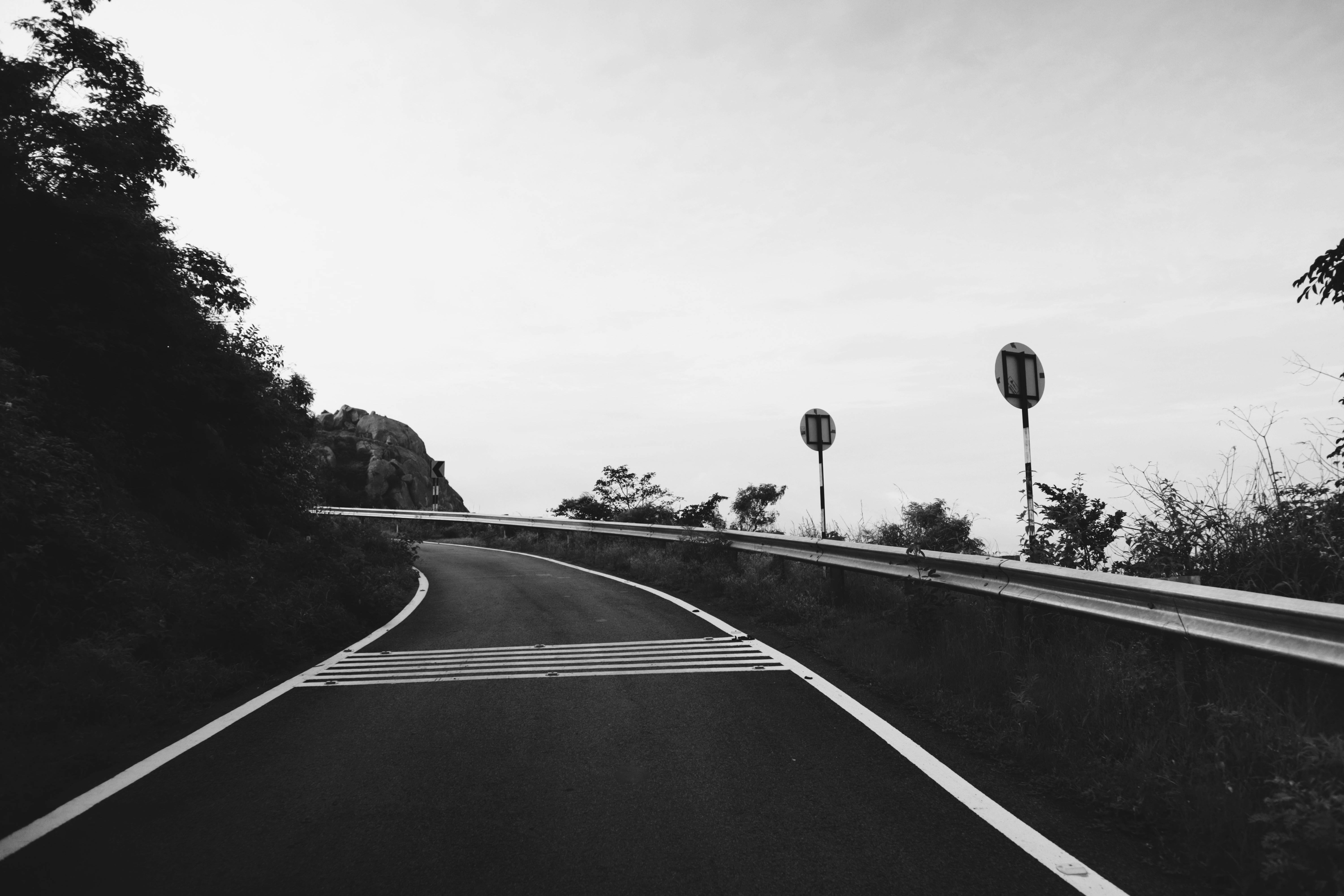 A winding road framed by foliage, captured in a dramatic black and white photo.
