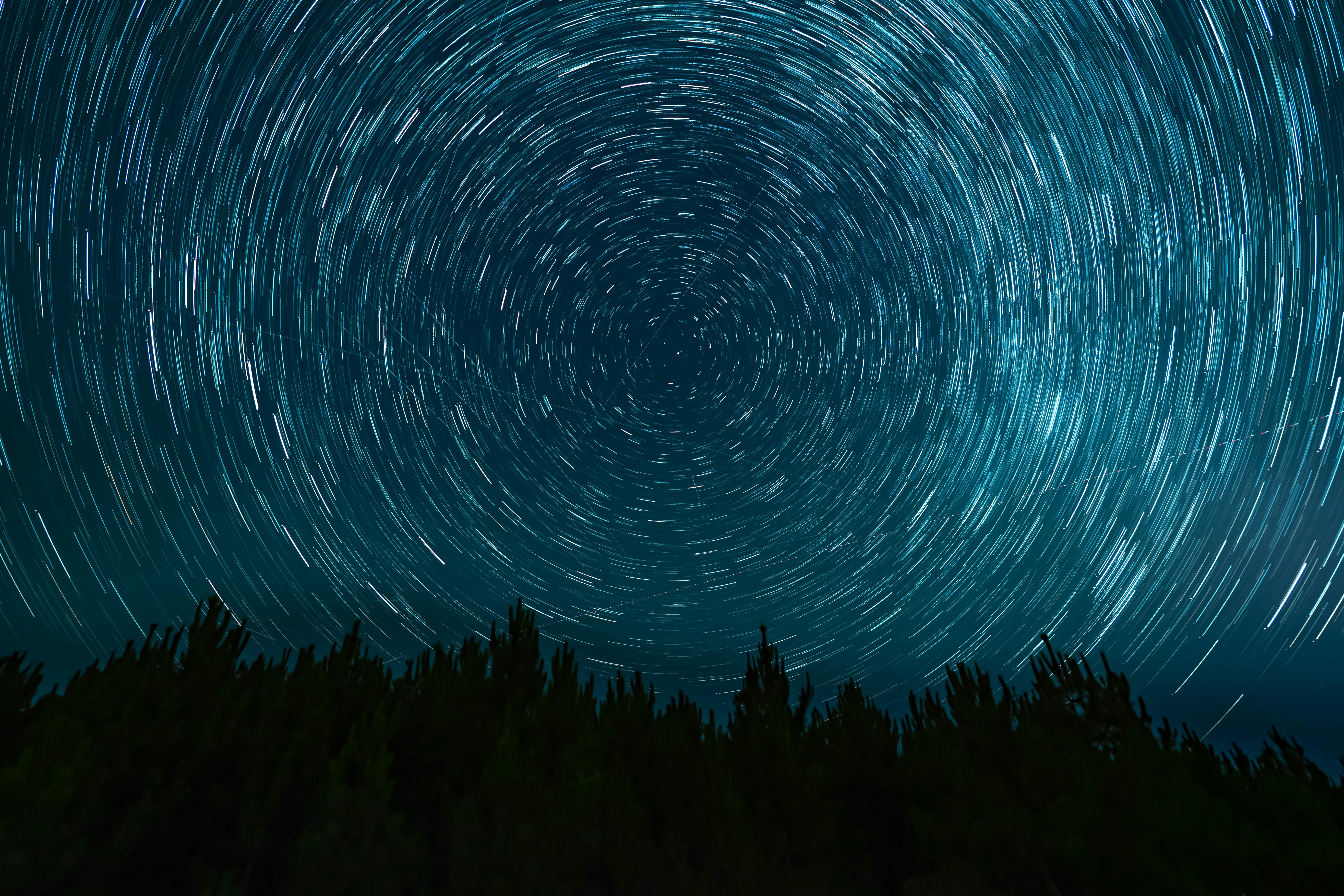 Mesmerizing star trails captured over a serene forest landscape at night, revealing cosmic motion.