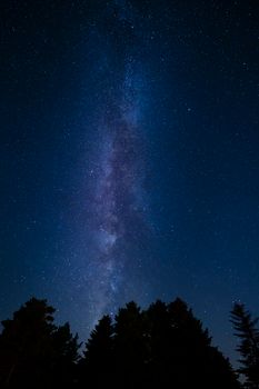 Bezaubernder Wald & Himmel – Weltraum Hintergrundbild