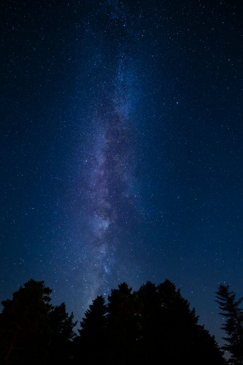 Free A breathtaking view of the Milky Way galaxy stretching across the night sky above a forest silhouette. Stock Photo