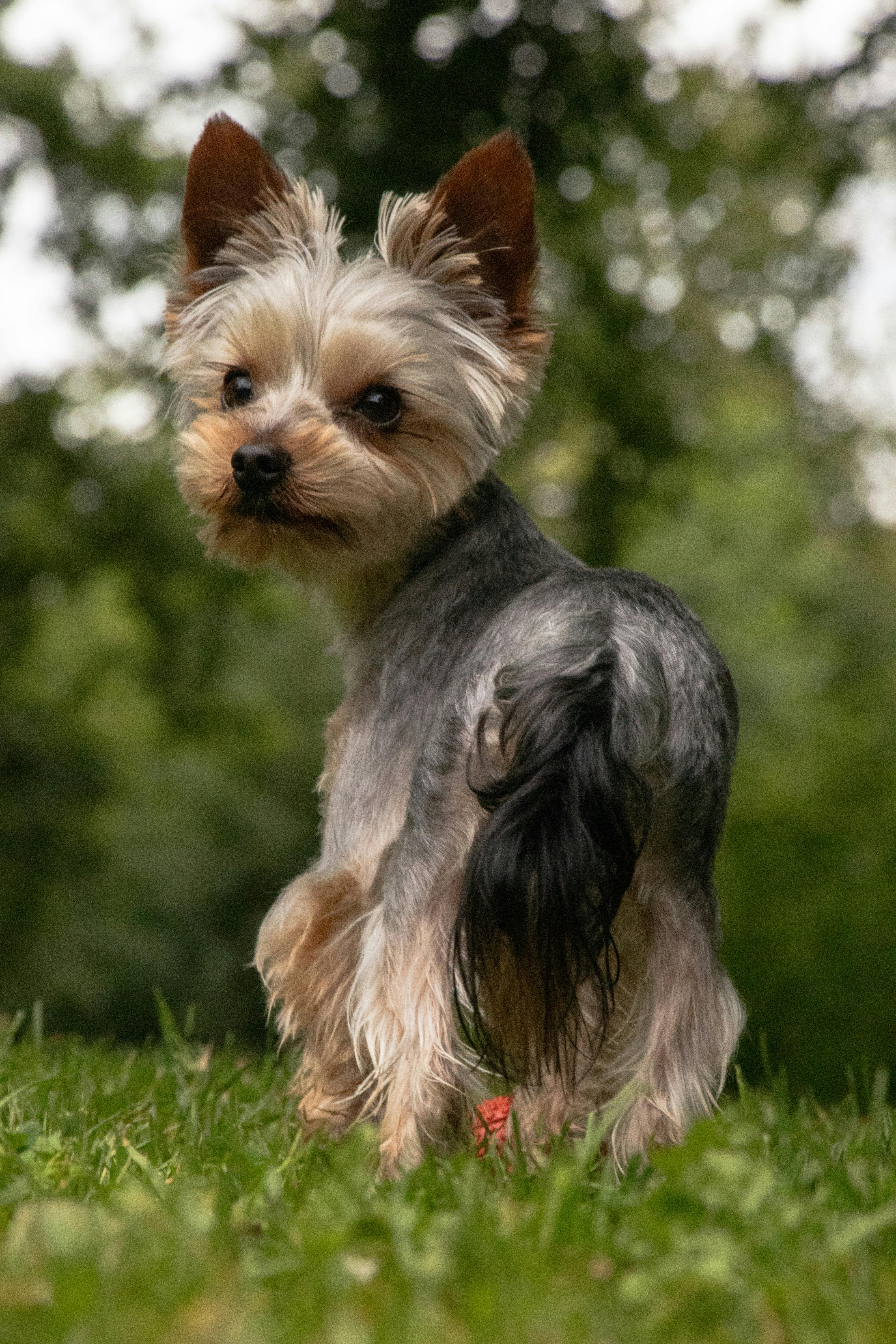 Kleid Rot: Entdecken Sie Die Trendigen Styles Für Jeden Anlass! 8 Rote Kleider für den Büro-Look: Professionell und Stilvoll zugleich