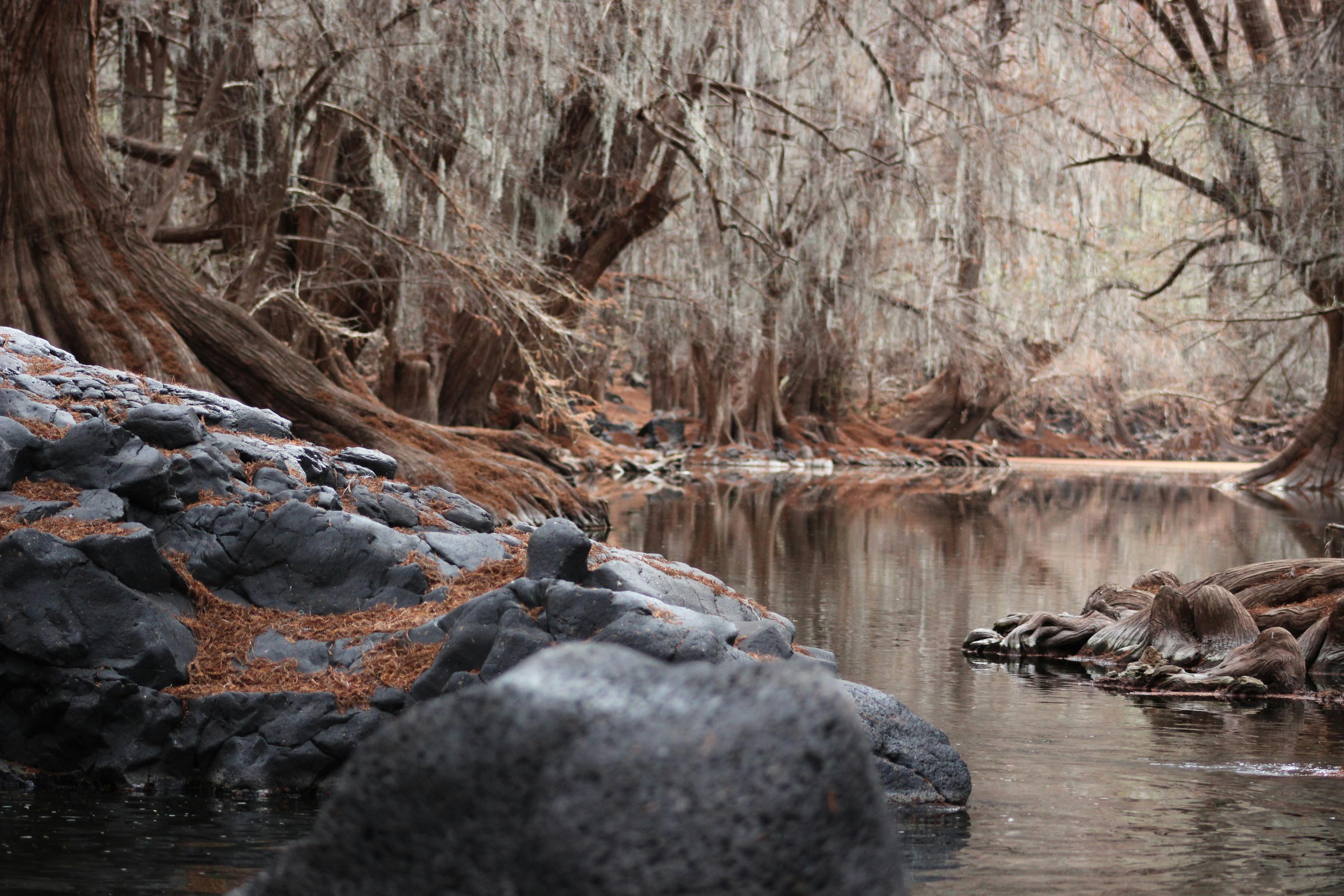 这条宁静的河流流经墨西哥绿树成荫的森林，两岸岩石嶙峋