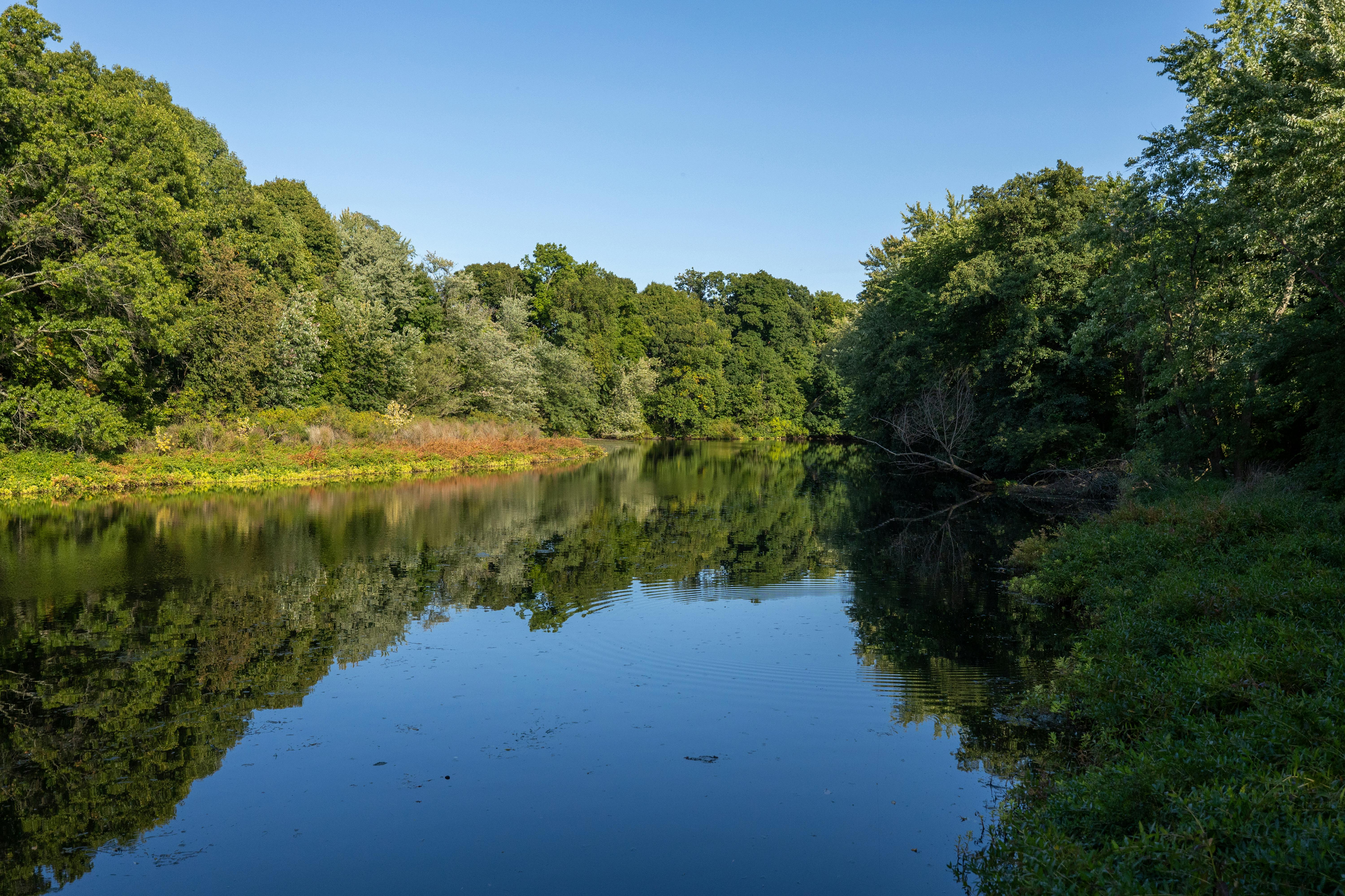 DuPage Forest Preserve executive director leaving for city manager job in Florida — Photo by Phil Evenden on Pexels