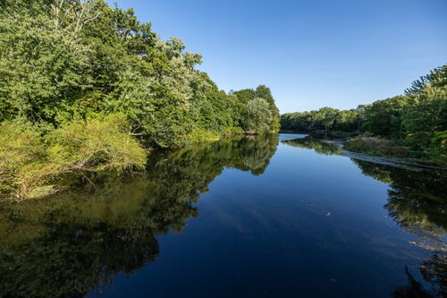 Free Tranquil river scene reflecting lush green trees under a clear blue sky. Stock Photo
