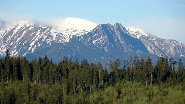 Scenic view of the snow-capped Tatra Mountains and lush forest in Zakopane, Poland.