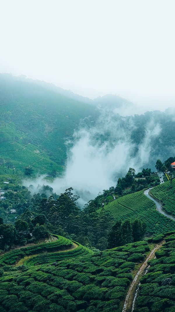 Landscape from the Wilds collection — photo by Nisanth Panicker on Pexels