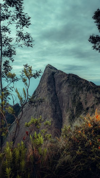Majestic Mountain View with Lush Foliage · Free Stock Photo