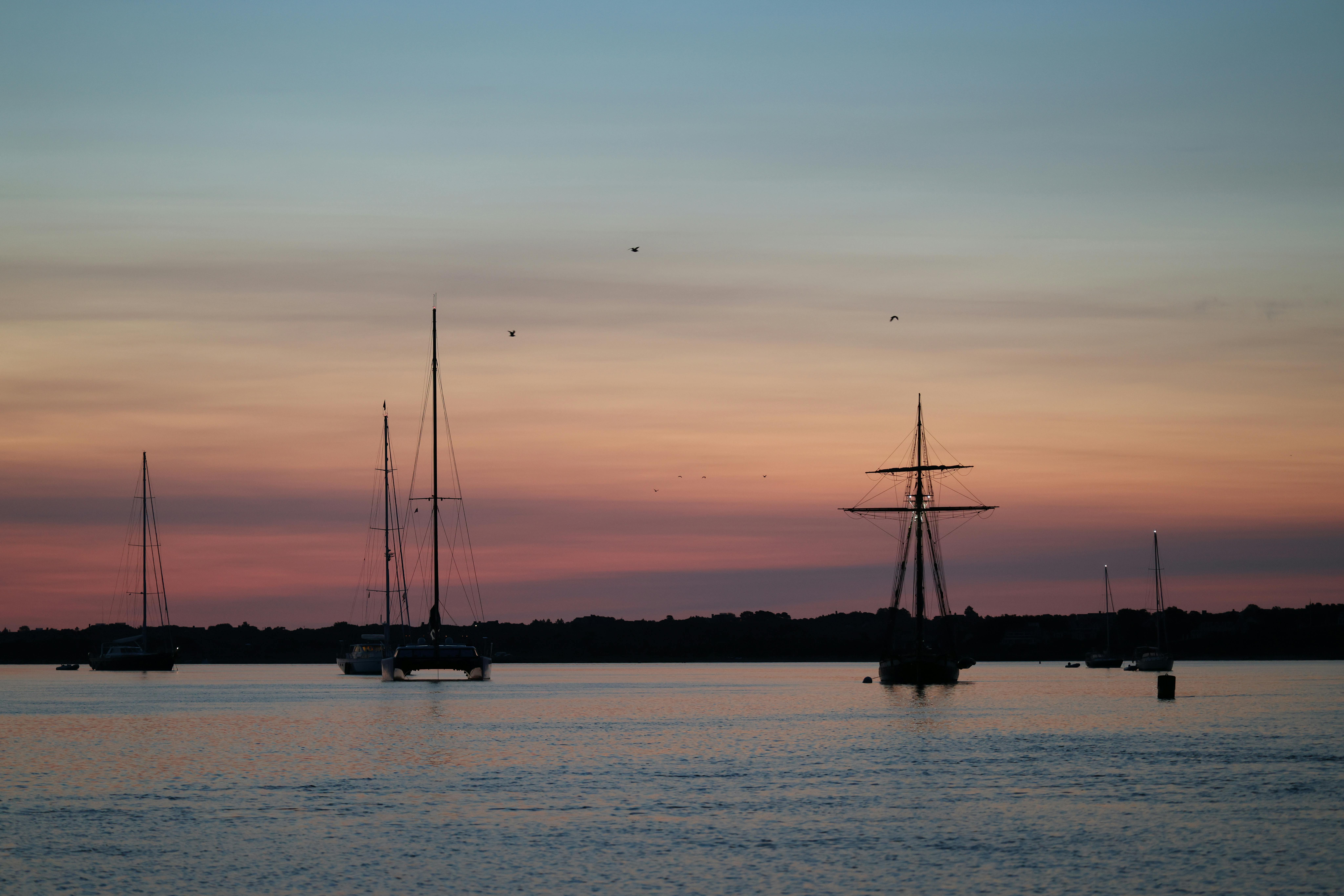 11 Nantucket Airbnbs Where The Beach Is Never Far Away - Condé Nast Traveler — Photo by David Kanigan on Pexels