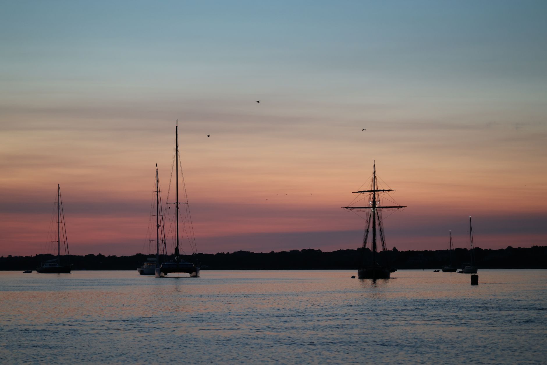 Plimoth Patuxet Museums