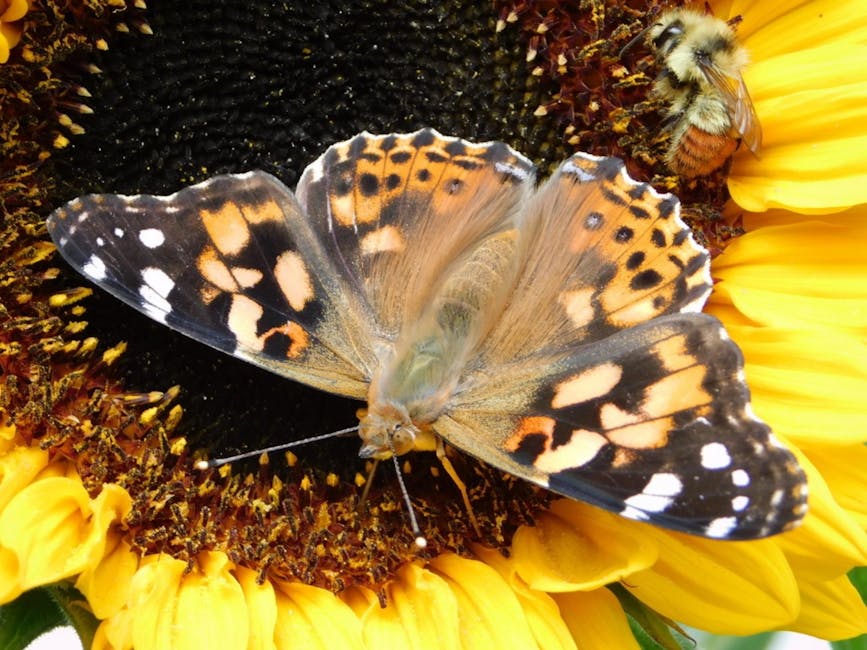 SHEFFIELD INDUSTRIAL