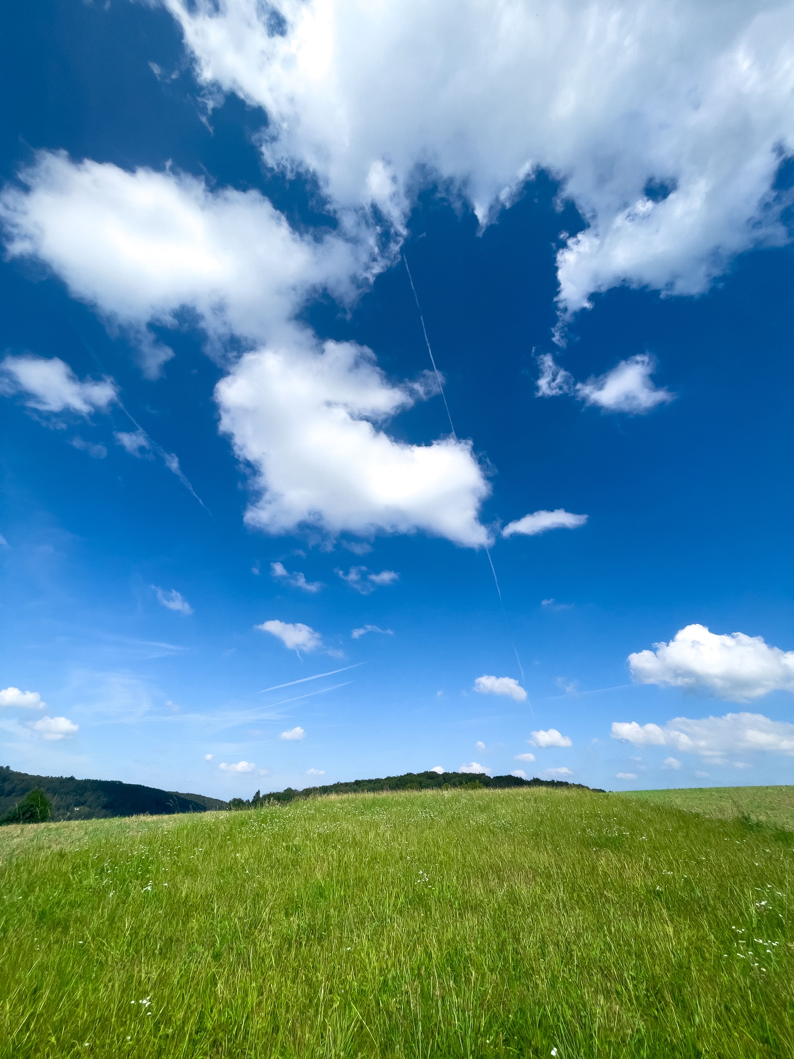 Lush green field stretching under a bright, cloud-filled blue sky.