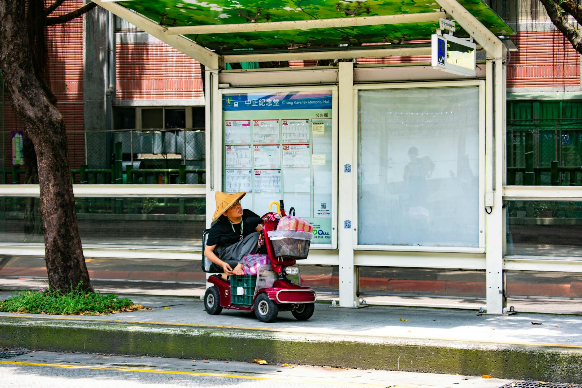 Electric Scooters Offer Mobility to People