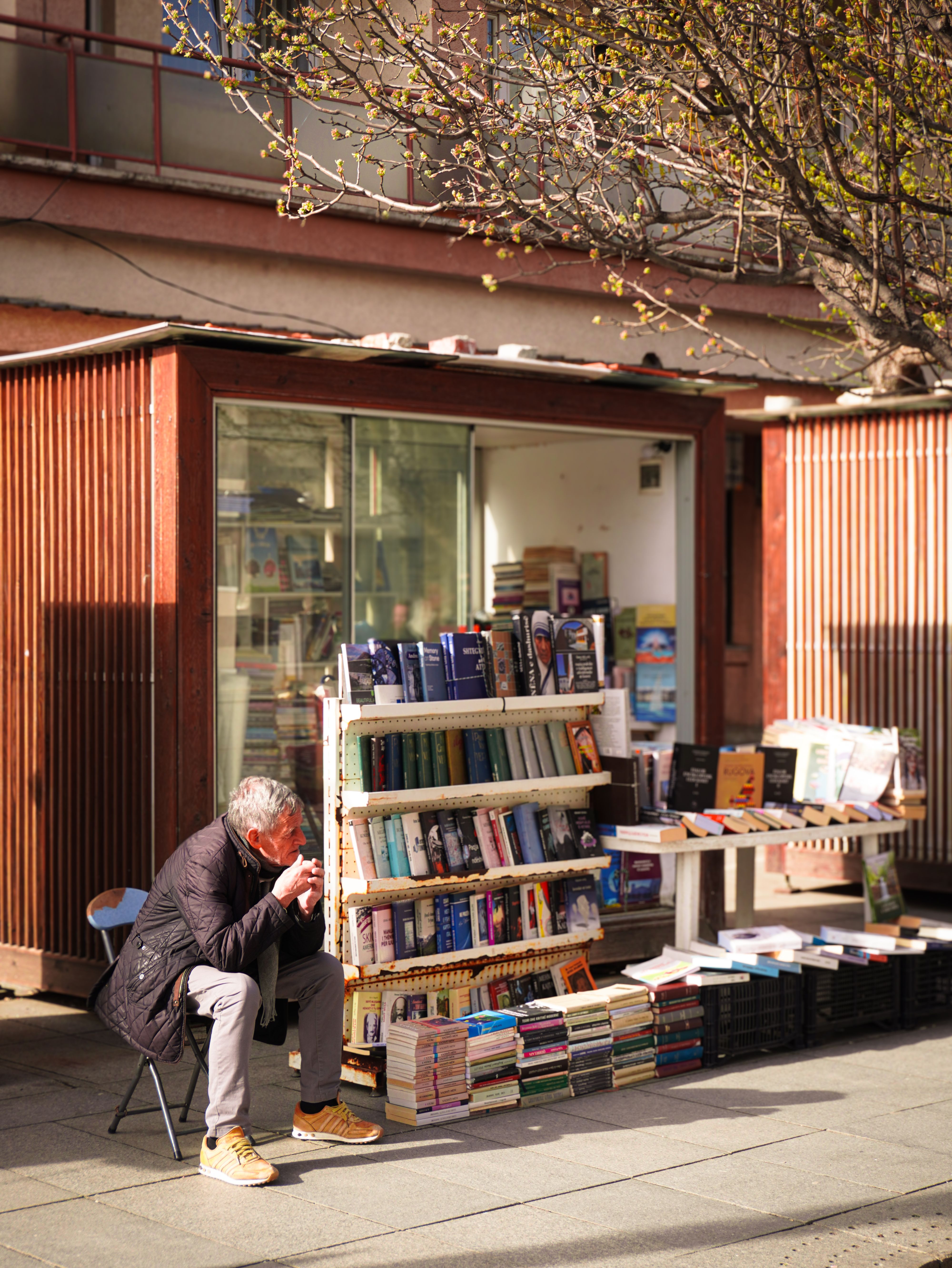 Independent bookstore, Pexels