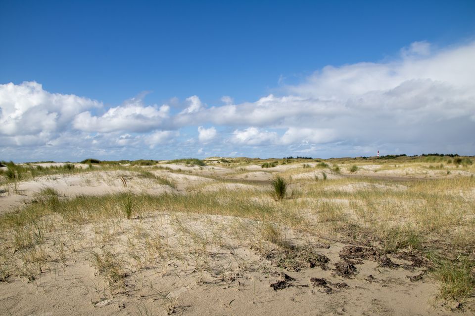 auf Spiekeroog