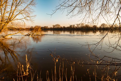 Free Peaceful river scene with trees reflecting during sunset. Ideal for nature themes. Stock Photo