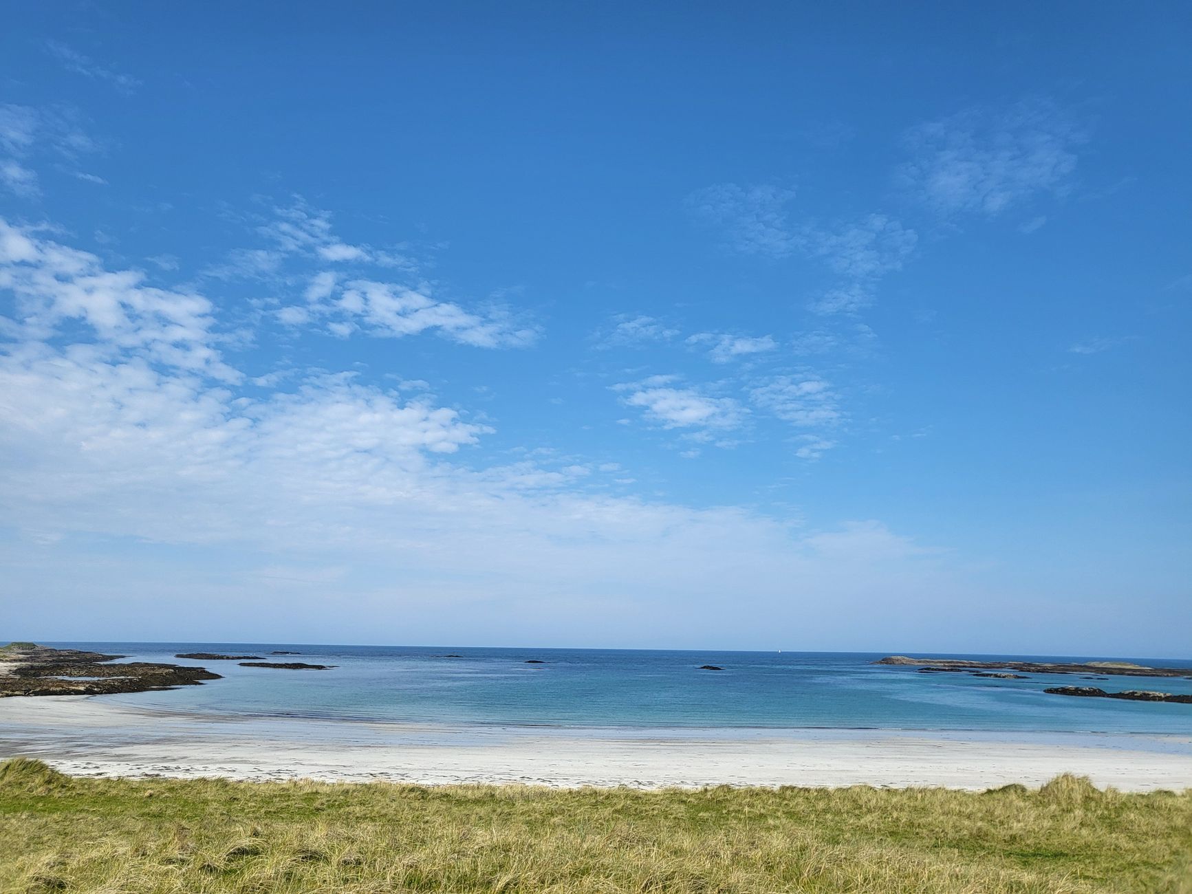 Tranquil coastal landscape featuring a sandy beach and calm blue ocean under a clear sky.