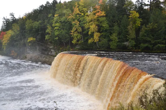 The root-beer-colored Tahquamenon Falls in the Upper Peninsula