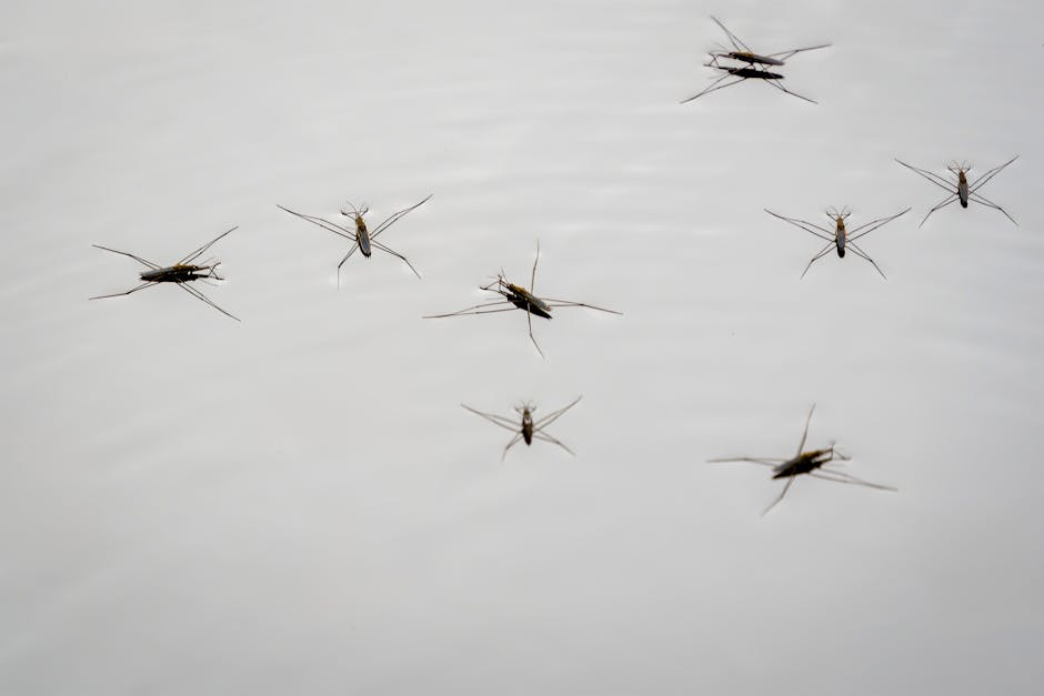 Discovering the Mystique of Water Nymphs