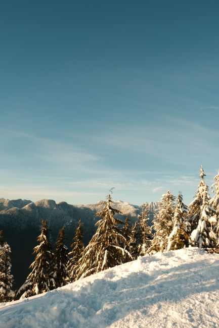 Stunning snowy mountain scene with evergreen trees and clear blue sky.