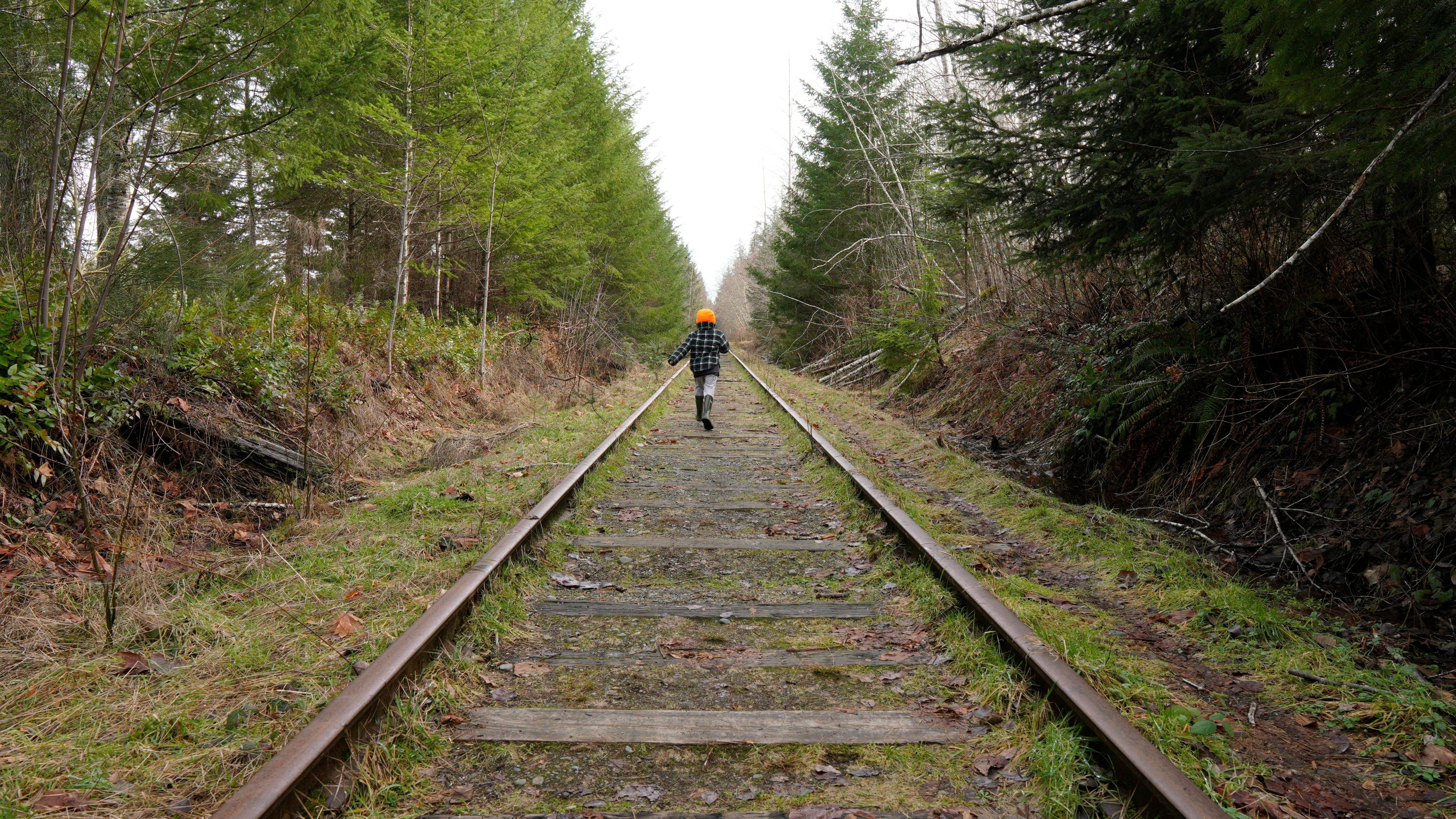 Run Away movie review &amp; film summary — Photo by Jason Pittman on Pexels