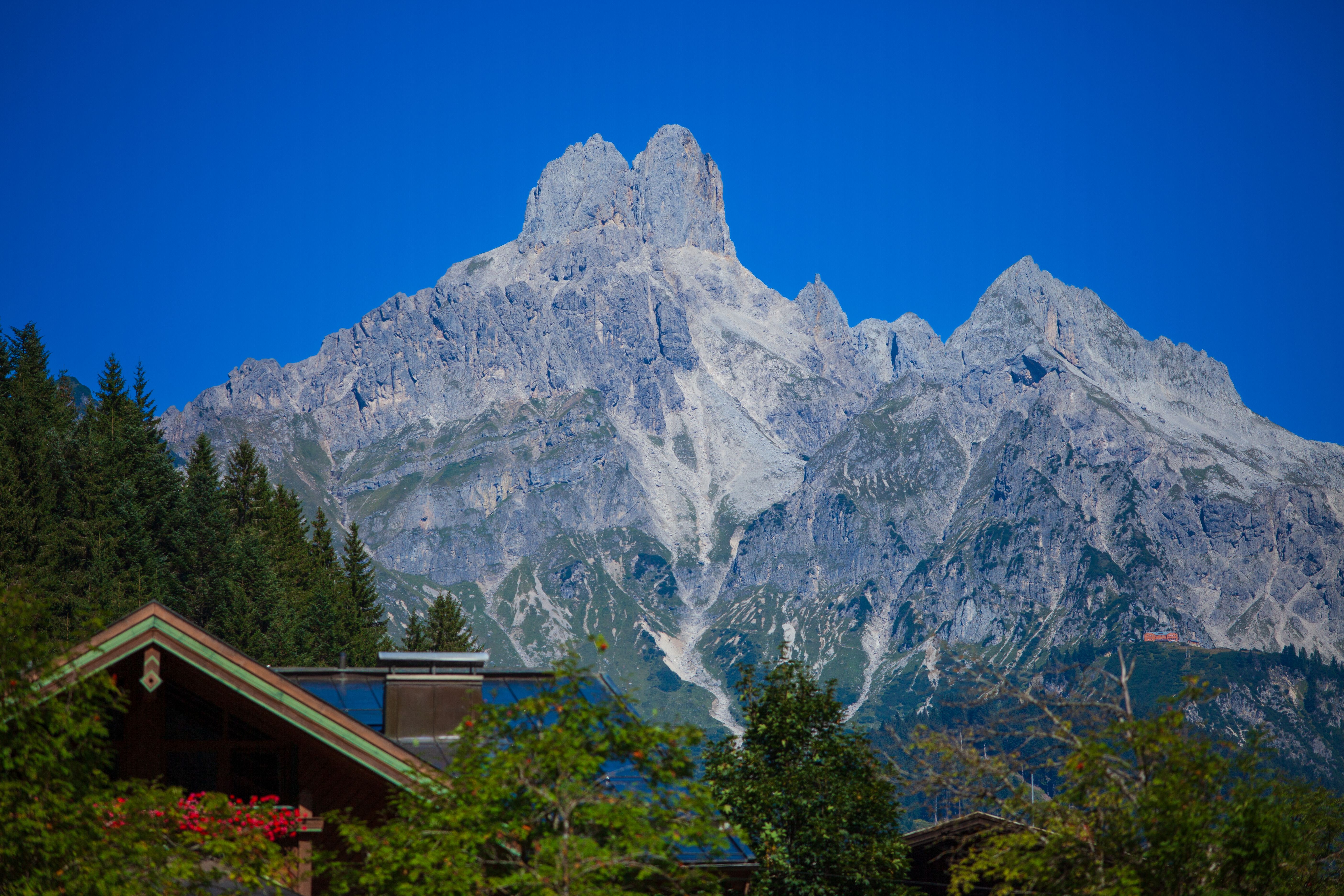 Majestic Mountain Peak with Alpine Forest · Free Stock Photo