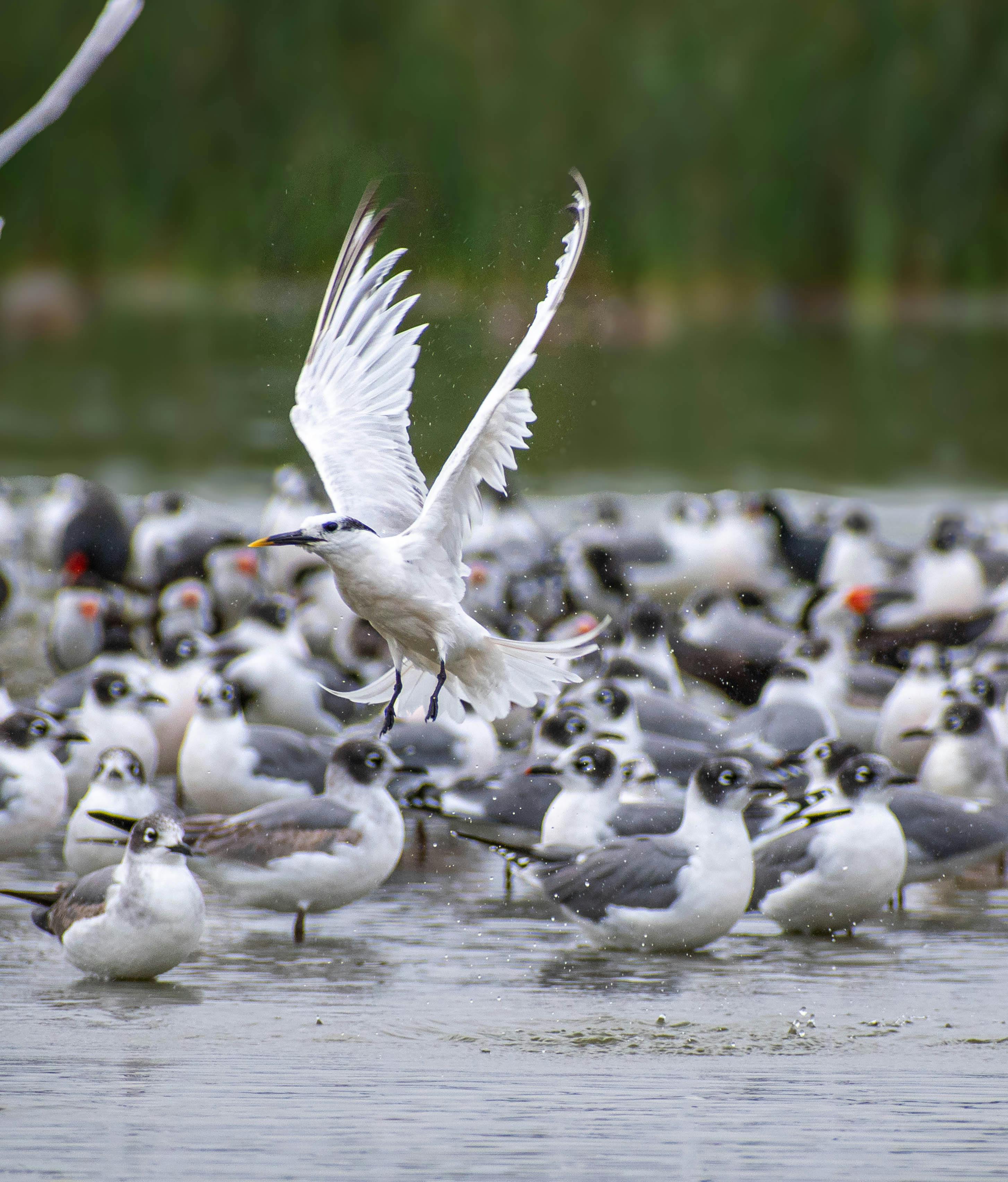 ฟรี บิน คลังภาพถ่าย