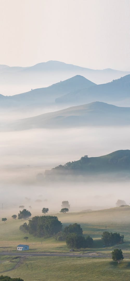 Free stock photo of foggy morning, grassland, landscape photography