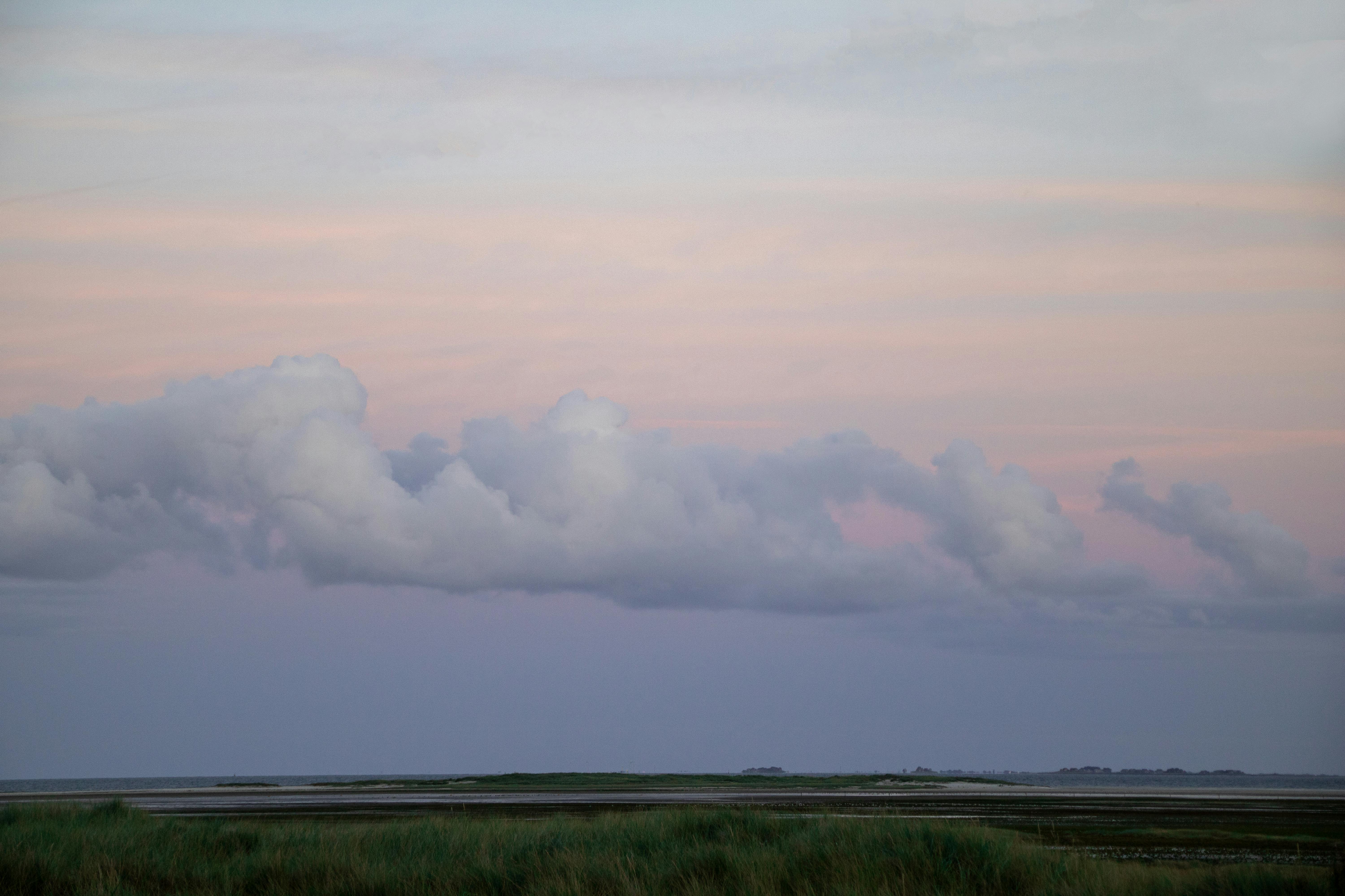 Dean Koontz - Auf Tauchstation (Surrounded)