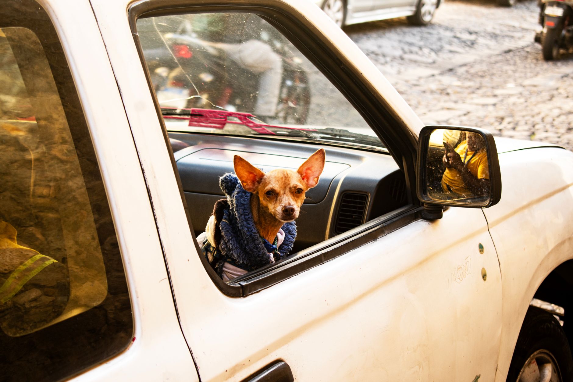 A Chihuahua wearing a sweater sits in a car window on a cobbled street in Antigua Guatemala.