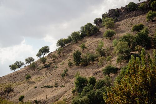 Free Dramatic hillside view with trees under cloudy skies in Elazığ, Türkiye. Stock Photo