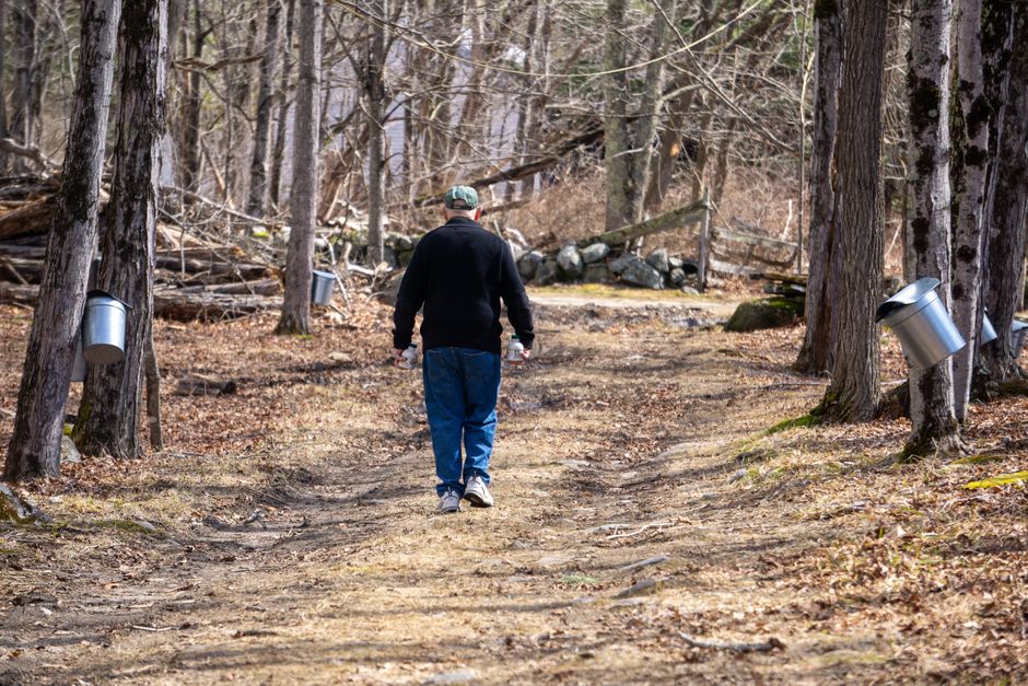 Tap Into Maple Season at the Festival of the Maples Near Ottawa