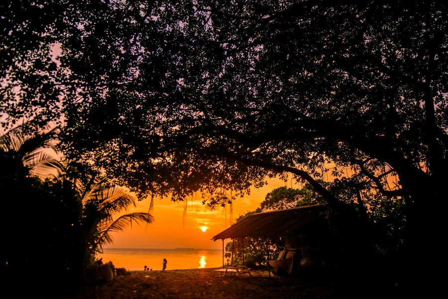 Bangaram Island photo 7