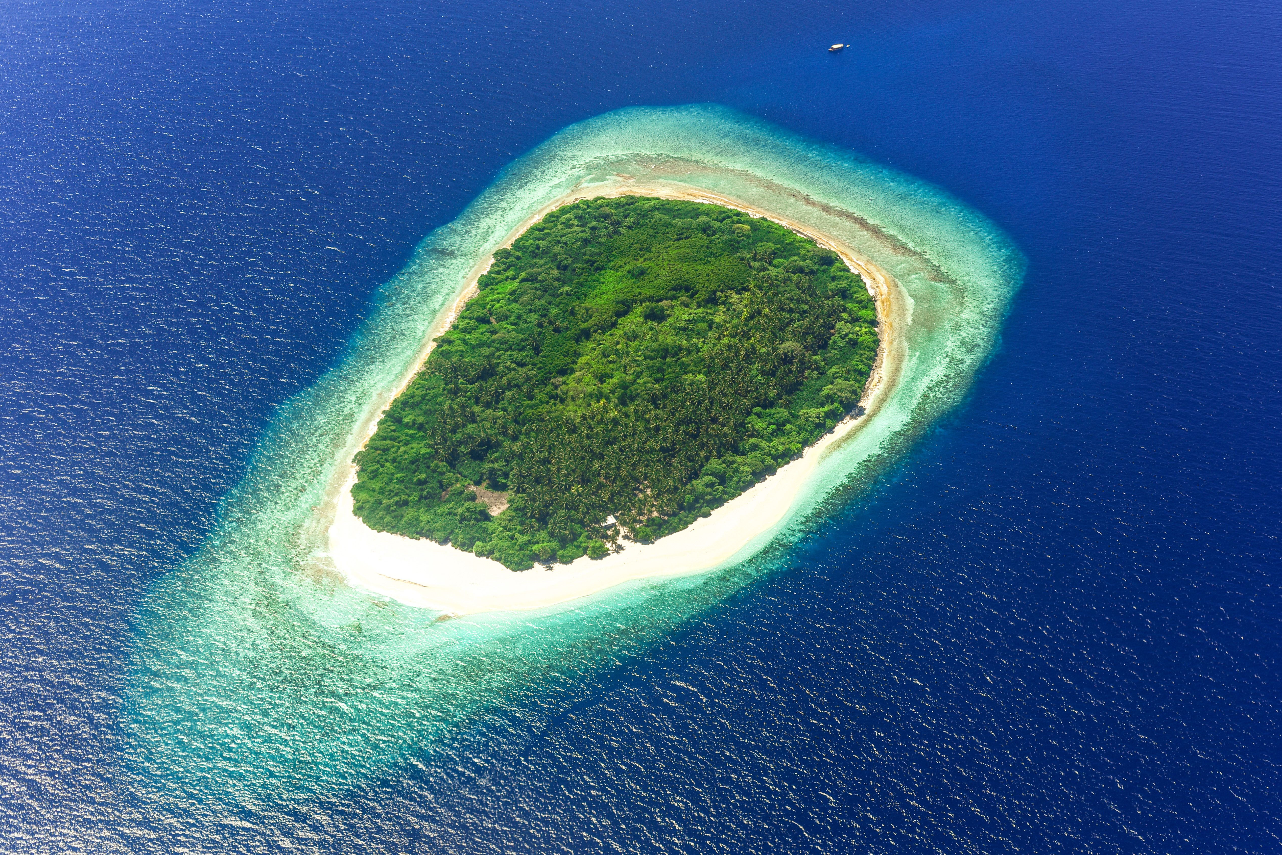 Vista Aérea De Una Isla Tropical Con Vegetación · Foto de stock gratuita