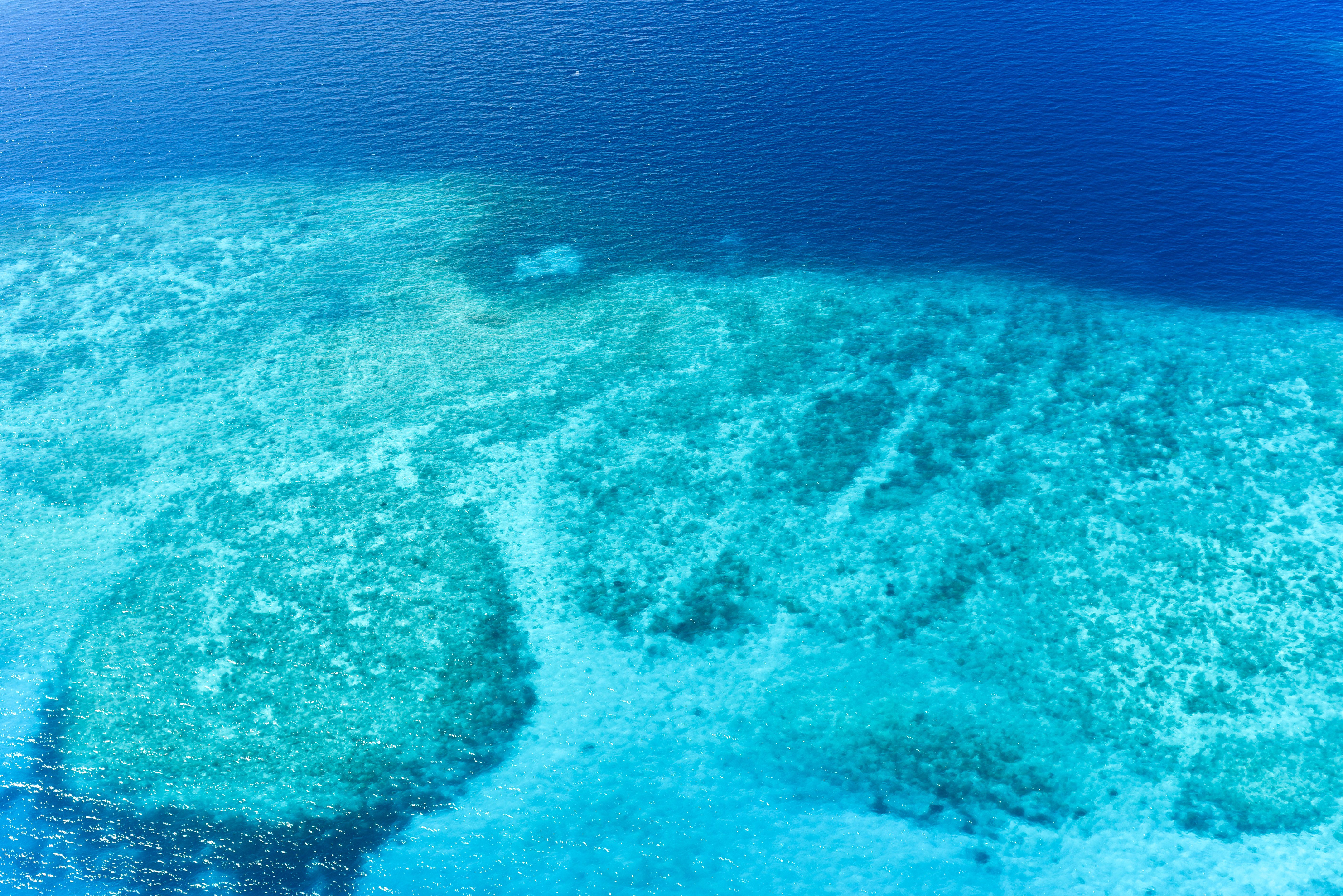 Ultimate Great Barrier Reef and Rainforest 45-minute Helicopter Tour - A breathtaking aerial shot of vibrant coral reefs beneath clear blue ocean waters, showcasing nature's underwater beauty.