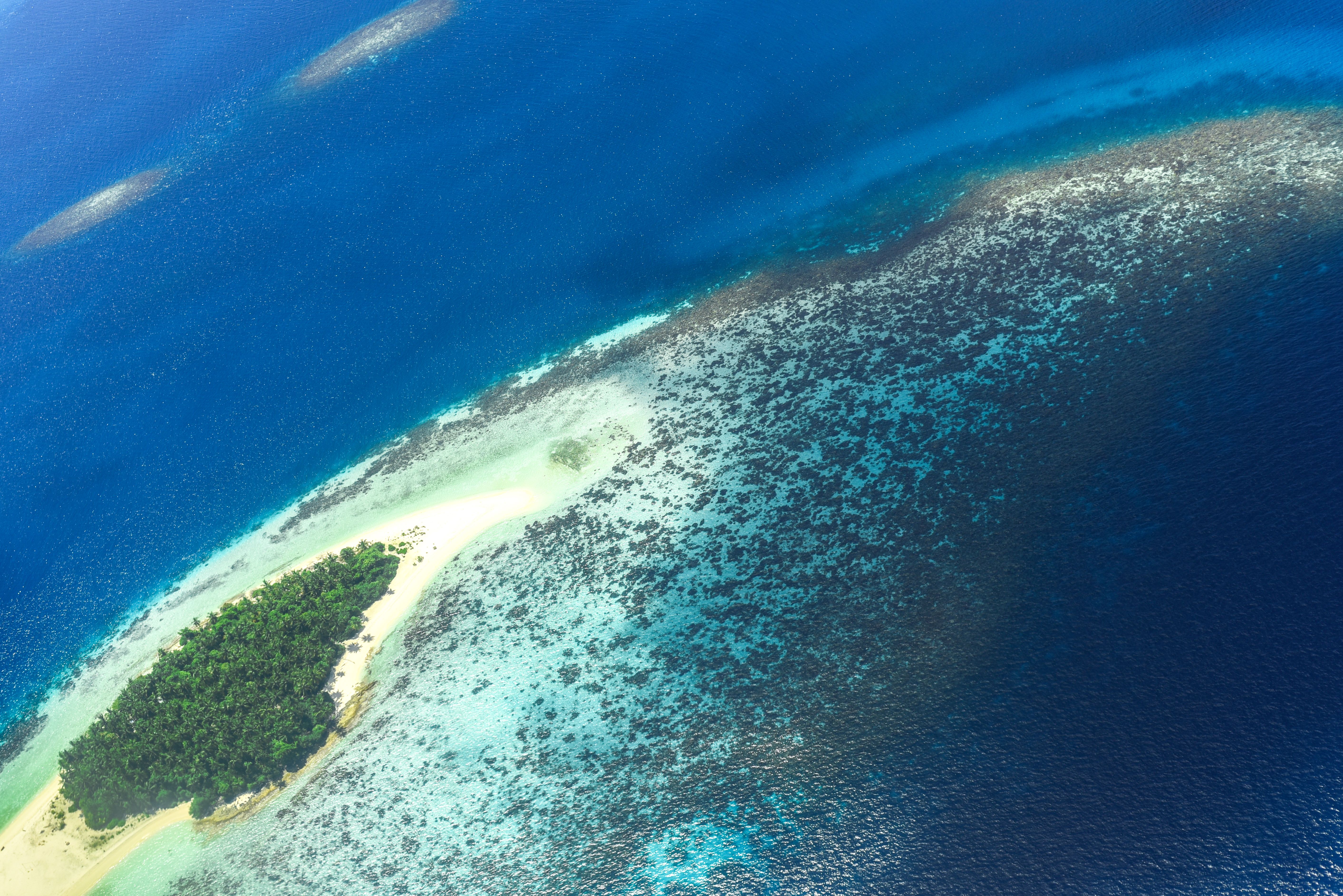 Great Barrier Reef 30-Minute Scenic Helicopter Tour from Cairns - Stunning aerial shot of a lush tropical island surrounded by vibrant coral reefs and turquoise waters.