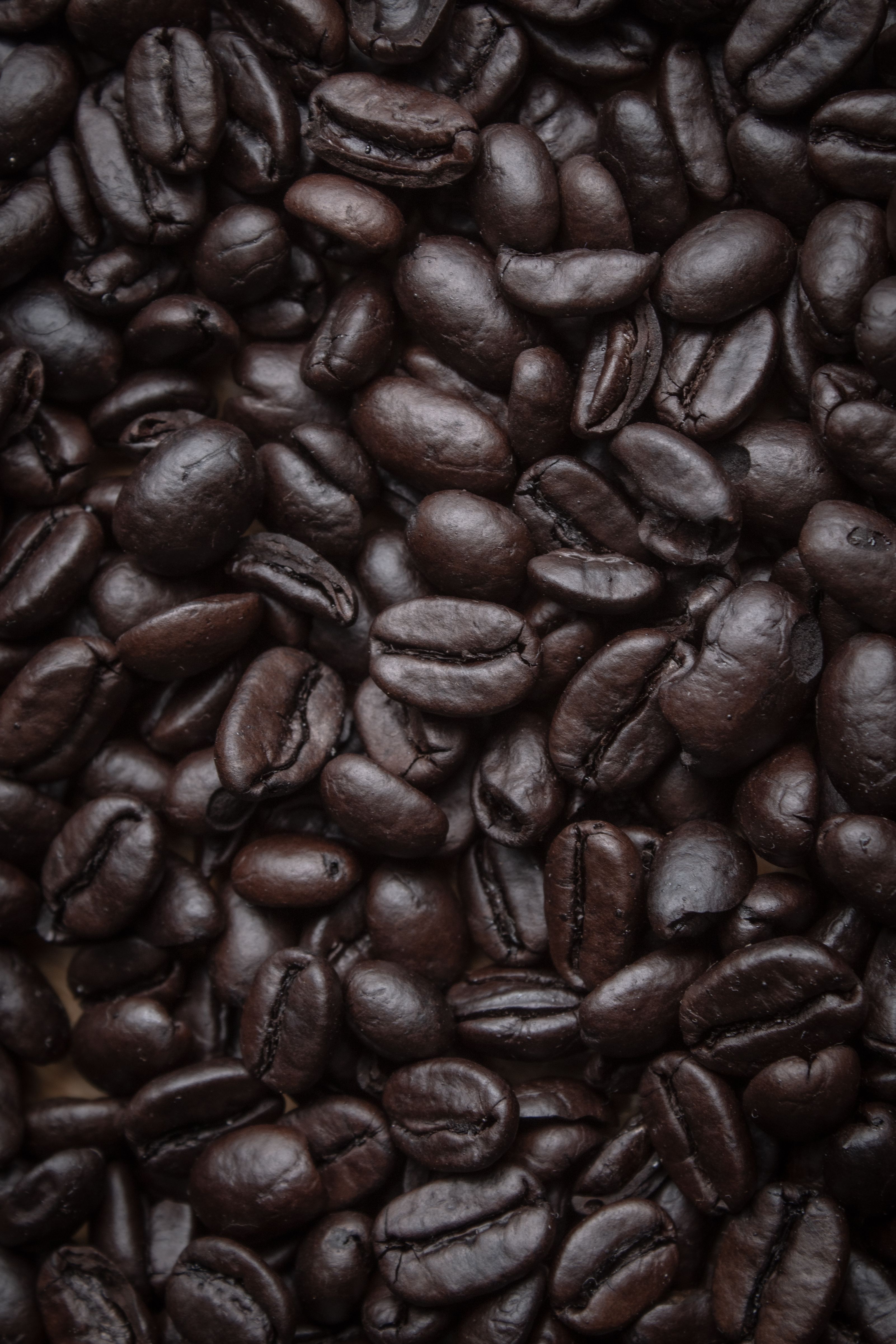 Where To Find Gourmet Coffee Beans