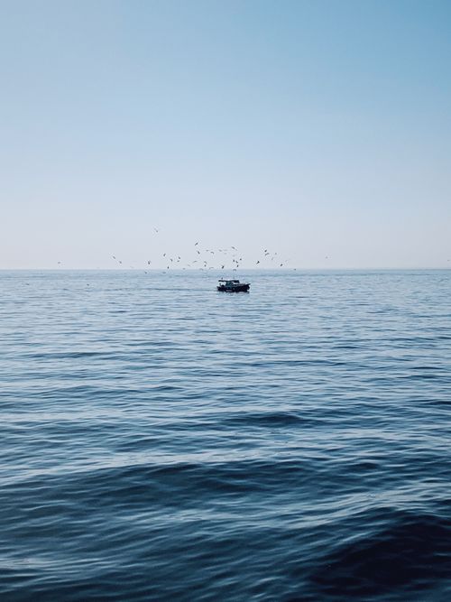 Free A tranquil fishing boat in a blue sea with seagulls near Istanbul, Türkiye. Stock Photo