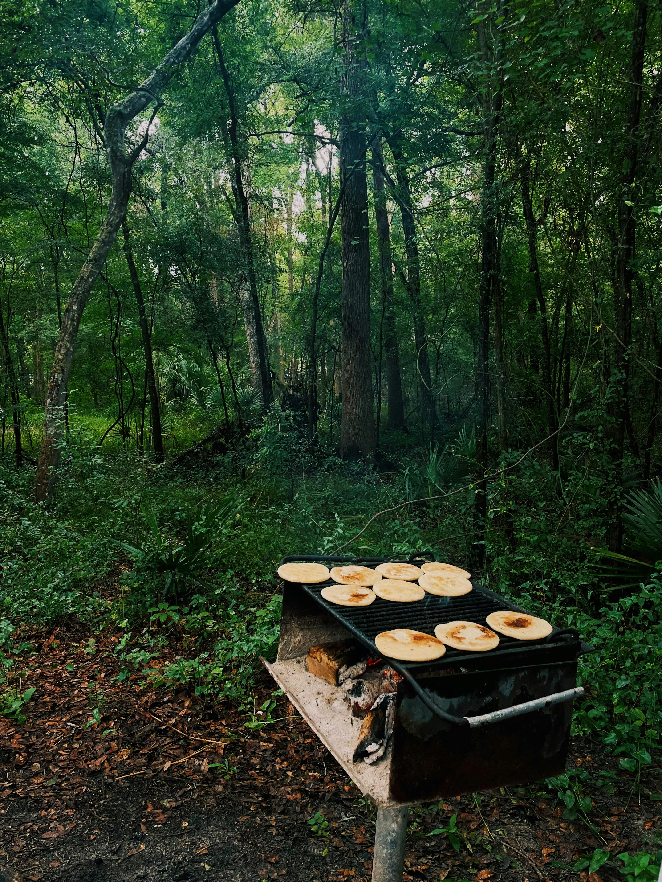 Gainesville FL Camp Site