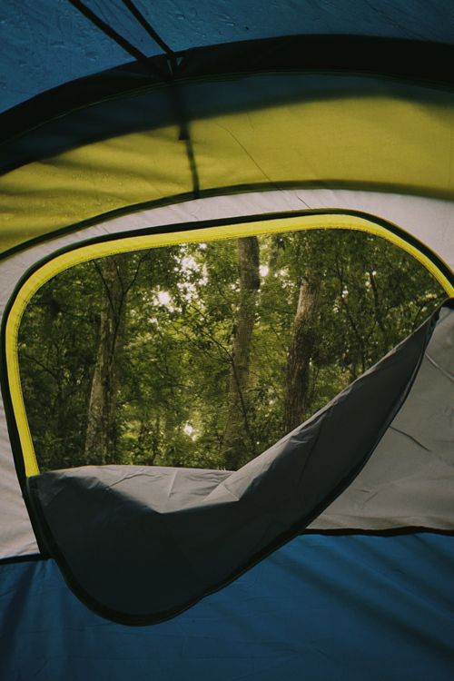 Free Scenic forest view through a tent window, capturing nature in Gainesville, Florida. Stock Photo