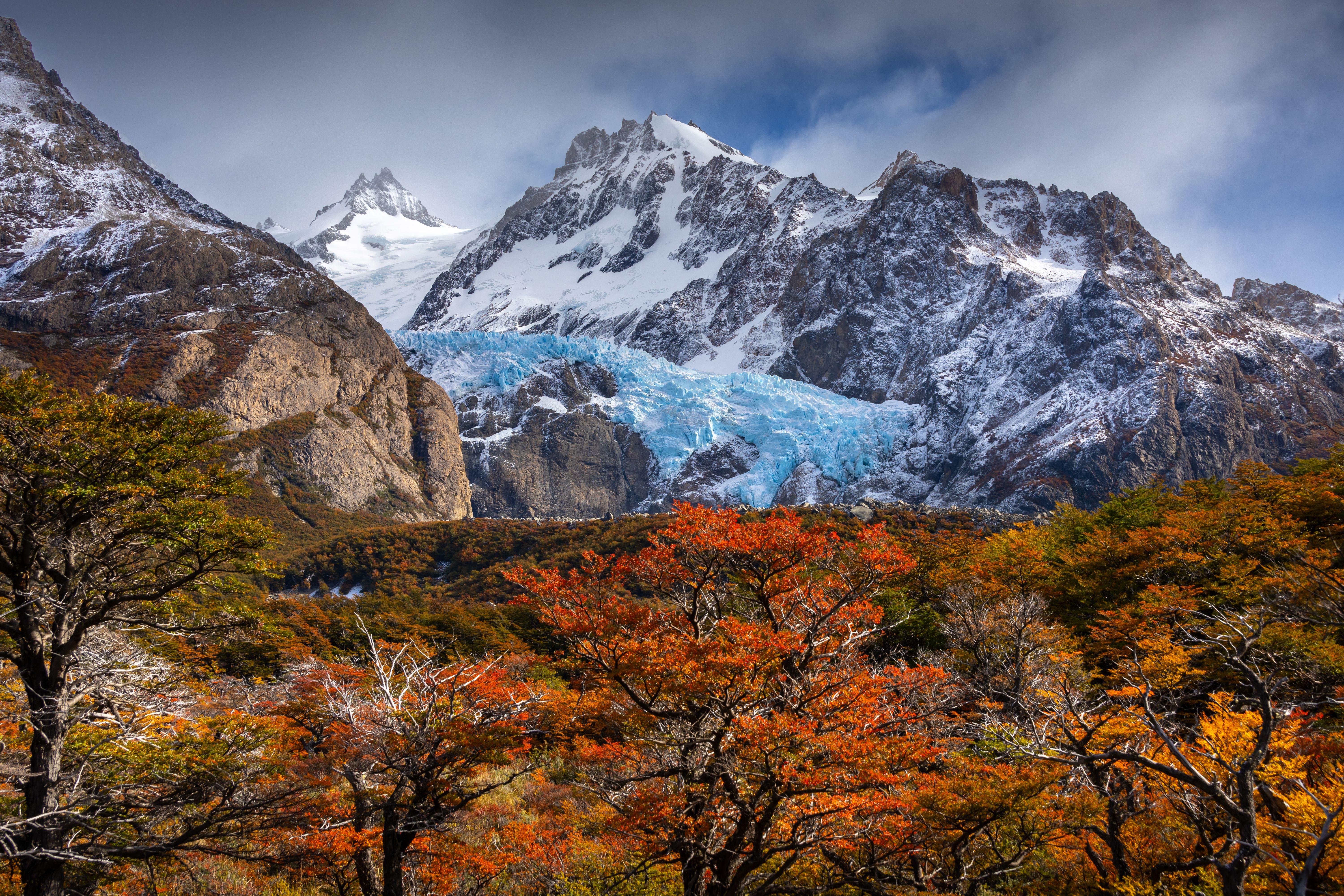 Cómo llegar al Puente Río Eléctrico desde El Chaltén