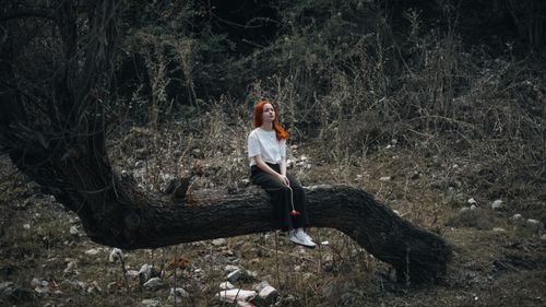 Free A young woman with red hair sits on a tree branch in a forest, embodying solitude and tranquility. Stock Photo