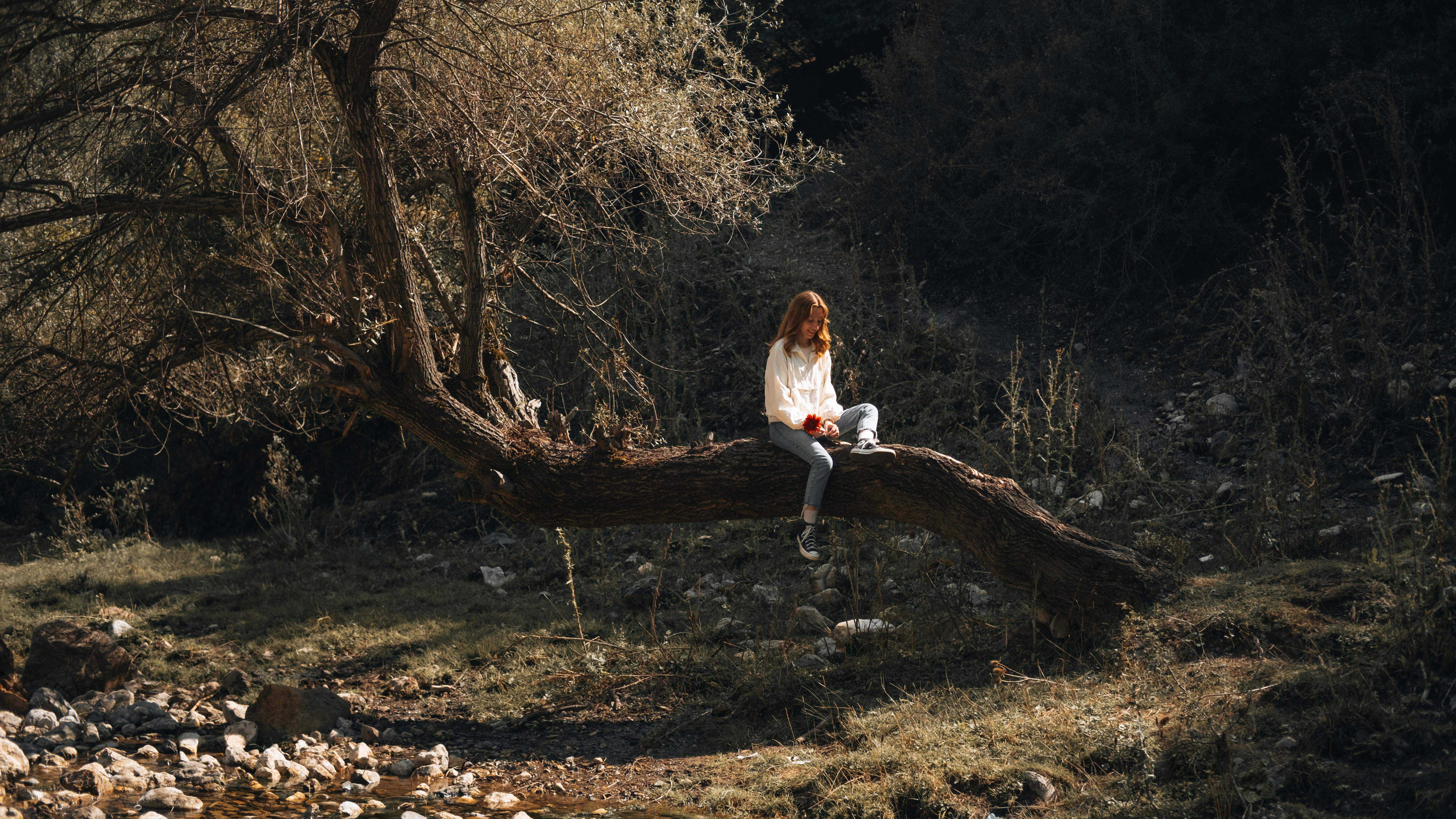 solitary woman sitting on tree branch in autumn forest