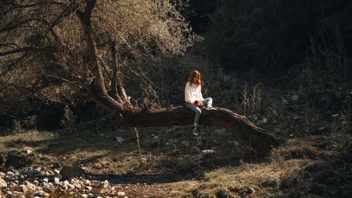 Free A red-haired woman in casual attire sits alone on a tree branch in a serene autumn forest. Stock Photo