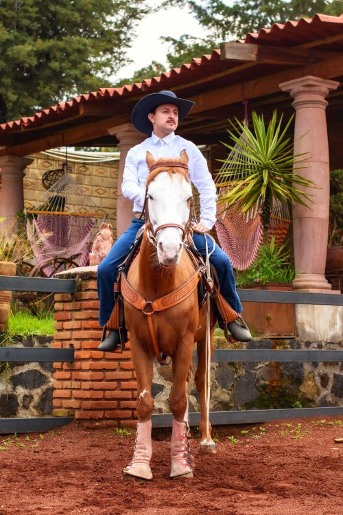 Free Caucasian cowboy riding a horse in a traditional rural Mexican backdrop. Stock Photo