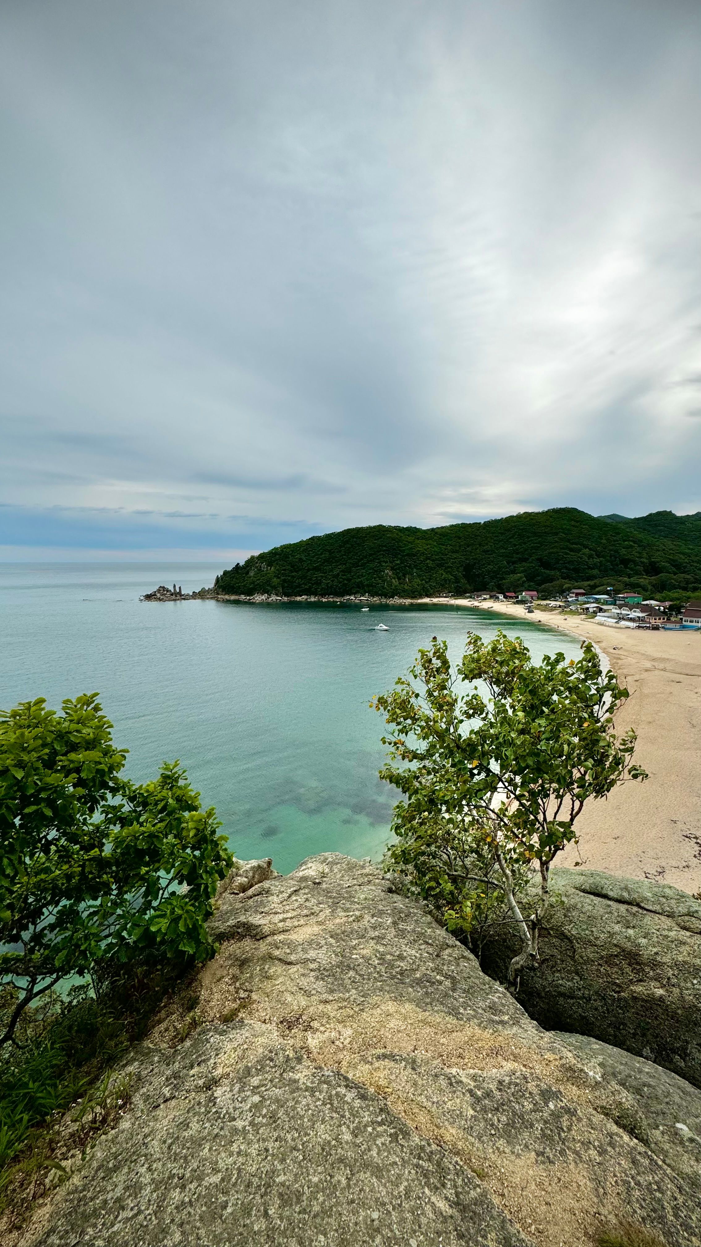 Scenic Coastal Beach with Lush Greenery and Clear Sky · Free Stock Photo