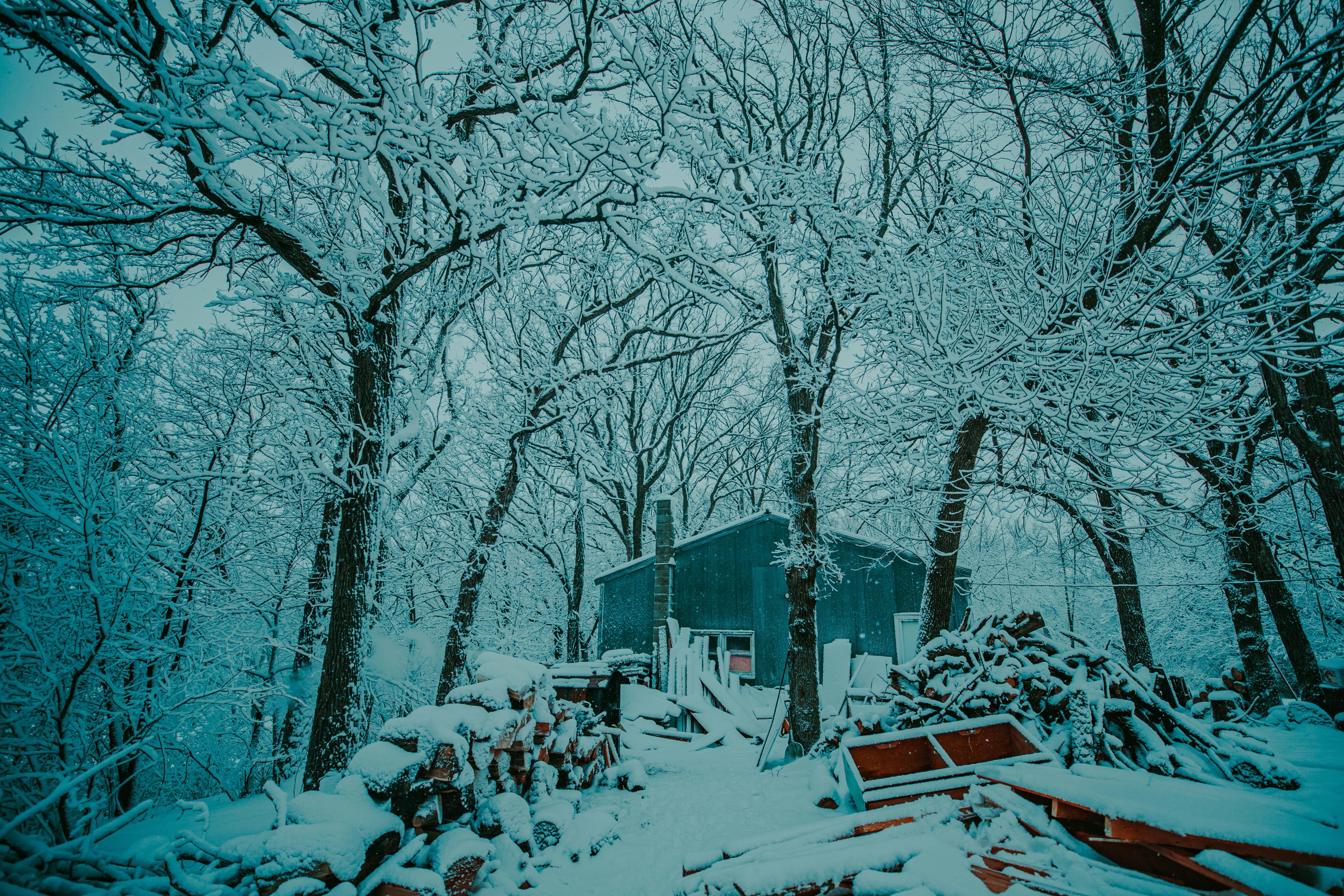 Piney Beach Cabins in Devils Elbow, Missouri