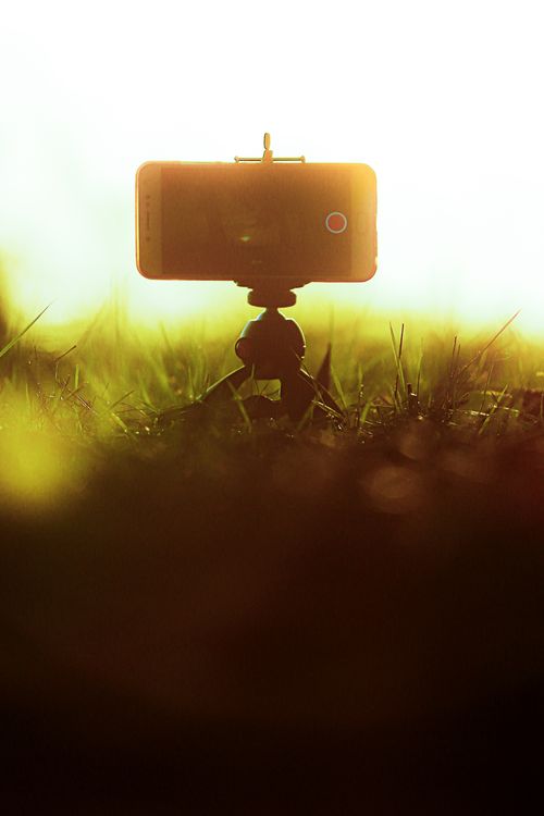 Free Golden Hour Stock Photo