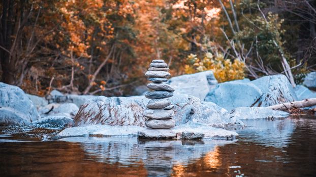 Friedlicher Wald – Minimalistisches Hintergrundbild